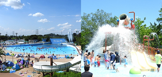 東武動物公園 スーパープール